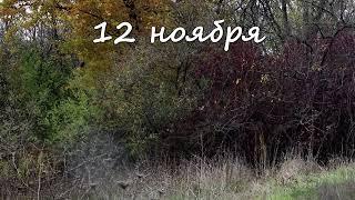 12 ноября – именины сегодня отмечают