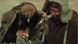 TRAINING AN EAGLE IN WESTERN MONGOLIA