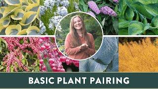 How Can You Pair Plants To Make Gardening Easier And Prettier Too? | Plant Pairing Guide