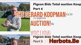 The GERARD KOOPMAN Auction | The Most EXPENSIVE Collection of Racing pigeons?