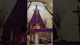 Fr.Franklin Dass Sunday mass at Our Lady of Solitude