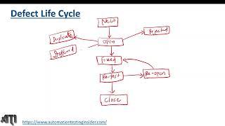 Defect/Bug Life Cycle