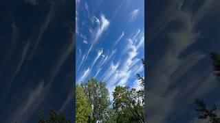 Cool looking wispy clouds. Is it because of the tornado watch?