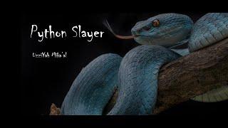 Python Slayer Deliverance Prayers |  Pray in the Name of Yahuah - Yahusha