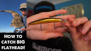 How To Catch BIG Flathead! (Everything You Need To Know)