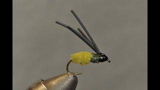 Bluegill Bully spider Reinforced