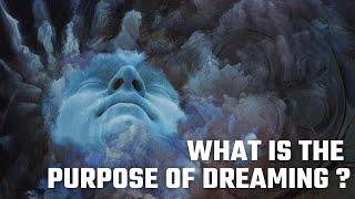 What is the purpose of Dreaming? Dr. Vineet Aggarwal