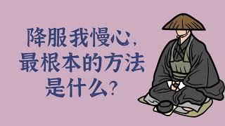 降服我慢心，最根本的方法是什么？