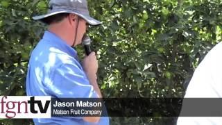 Grafting Honeycrisp and Converting to V-System — FGNtv