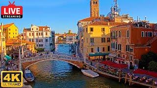  4K Live Cam of Ponte delle Guglie Venice - View from Hotel Leone Venezia  - Live stream ライブカメラ