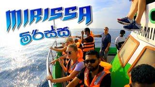 First time  Dolphin | Whale watching  Mirissa Srilanka  | මිරිස්සේ  යන්න කලින් බලලම යන්න