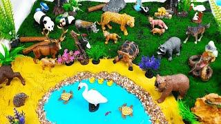 Forest Animals Small World Diorama-DIY-Learn wild animals names and  facts Nature with toys