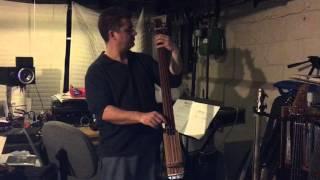 Krappy guitars electric upright bass!