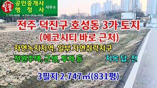 전주 덕진구 호성동 3가 에코시티 근처 토지 매매