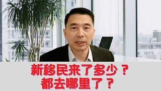 新移民来了多少？都去哪里了？