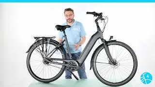 Batavus Finez E-Go Power Exclusive: Idealer Tiefeinsteiger für Pendler und Ausflügler