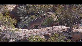 Erongo Mountain Rhino Sanctuary Trust & Erongo Verzeichnis Film