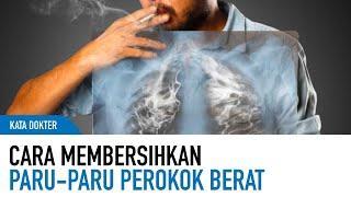 Cara Alami Membersihkan Paru-Paru Yang Kotor | Kata Dokter