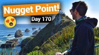 ️ Nugget Point in The Catlins & Balclutha –  New Zealand's Biggest Gap Year