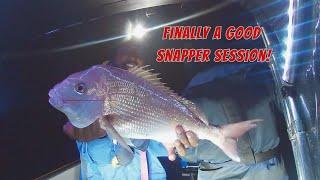 Its Snapper Time Again!  #snapperfishing #snapper #boating #fishingaustralia