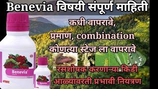 Benevia insecticide| FMC benevia insecticide| #benevia #insecticide@AapliShetiAaplshivarD