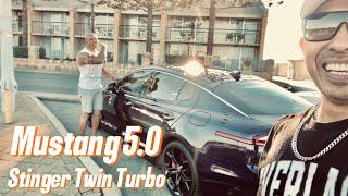 Stang & Stinger POV Cruise & Vlog #carshorts #musclecar #turbo #vlogs #vlogging