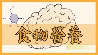 10分鐘認識蛋白質、碳水化合物、脂肪