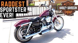 The RADDEST Sportster Ever! Harley 72 Ride Review Impressions Likes Dislikes Davidson 1200 xl1200v