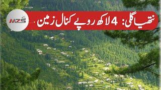 Cheap Property For Sale in Nathia gali | Open Land For Sale  | Real estate Pakistan | MZS TV