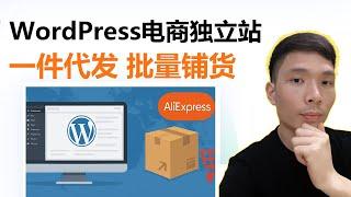 如何用WordPress做跨境电商无货源独立站：AliDropship 一件代发、批量产品采集实操教程（Dropshipping）