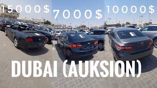 MALIBU 7000$ SHUNDAY KUNLAR O’ZBEKISTONDA QACHON BO’LADI?! DUBAI AVTO BOZORI (AUKSION)