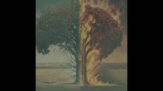 The Koan of Heaven and Hell