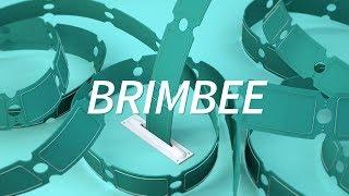 BRIMBEE