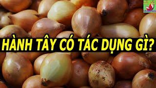 Ăn hành tây có tác dụng gì?