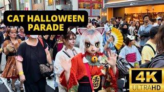 TOKYO, JAPAN  [4K] Cat Halloween Parade — BAKE NEKO Festival 2024