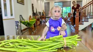 Lala has a habit of choosing healthy vegetables for main meals!