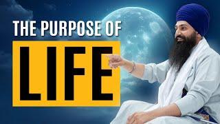 What is the purpose of life? - A Deep Dive + Q&A with Bhai Harman Singh