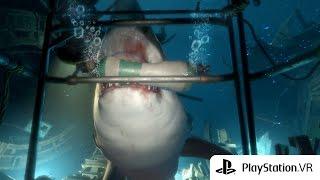 The Deep - PlayStation VR