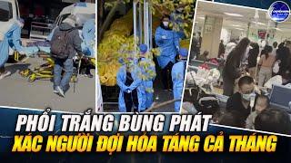 Không Con Cái, Không Thừa Kế: Giới Trẻ Trung Quốc Phản Ứng Trước Mối Đe Dọa Tịch Thu Tài Sản