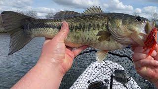 Bass Fishing Oroville Wildlife (Important Message At The End)