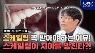 치과의사가 알려주는 스케일링의 모든것 | 스케일링이 치아를 망친다!?