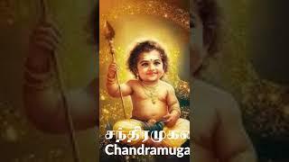 திருச்செந்தூர் முருகனின் ஆண் குழந்தை பெயர்கள்_Tiruchendur Murugan Baby Boy Names