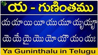 య గుణింతం | Ya gunintham | How to write Telugu Ya guninthalu | Telugu varnamala Guninthamulu