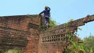 Ancient Green Tree Growing in the Middle of a House Buried for 70 Years (Part 2)