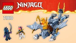 LEGO NINJAGO Dragons Rising Young Dragon Riyu (71810)[132 pcs] Step-by-Step Building Instructions