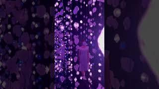 皮皮樂迪 •里思特 (Pipilotti Rist）展覽 @大館