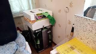 переезд в деревню, все остались живы
