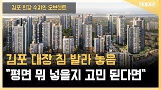 김포 한강 수자인 오브센트 평면, 일정, 이런저런 이야기들