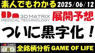 【全銘柄分析】スリー・ディー・マトリックス！ついに黒字へ！これからの展開予想！【202506012】
