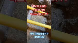 수리  끝나고  바닥에 물은  언제 말라요?? #누수 #누수탐지